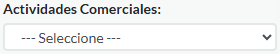 8. Actividades Comerciales