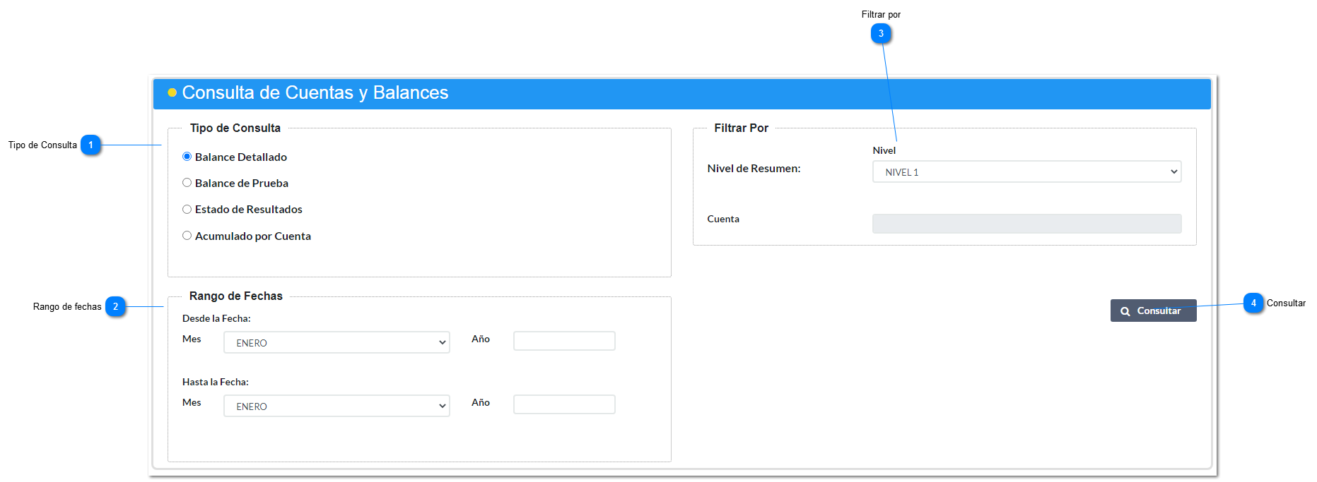 Consulta de Cuentas y Balances