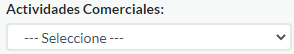 6. Actividades Comerciales