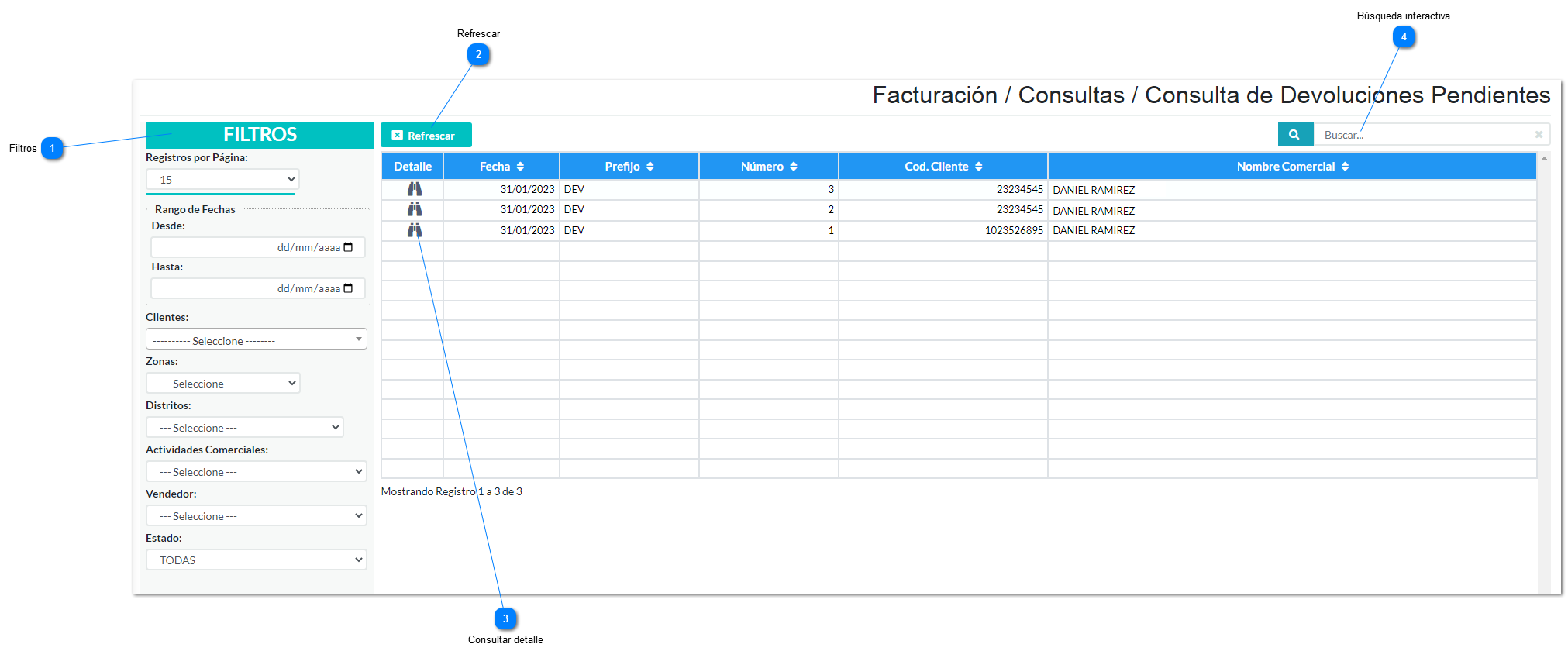 Consulta de Devoluciones Pendientes