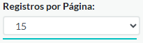 2. Registros por Página