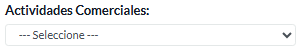 13. Actividades Comerciales